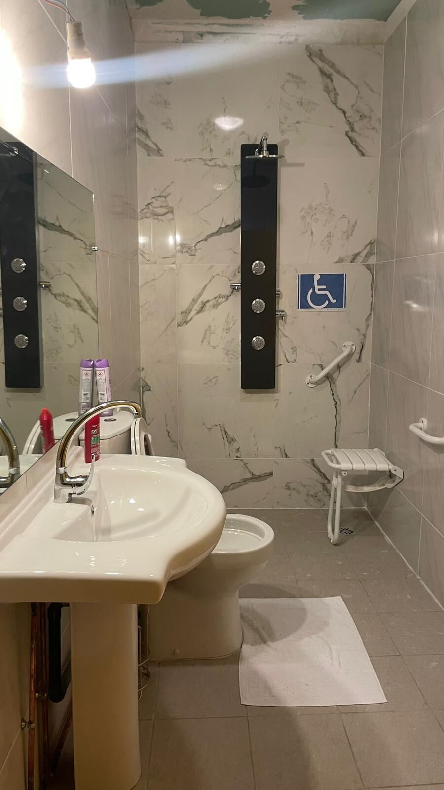 Une salle de bain équipée d’un lavabo, d’un miroir, de toilettes et d’une douche adaptée aux personnes à mobilité réduite.