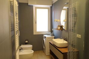Regadera, secadora de cabello, bidet, jabón