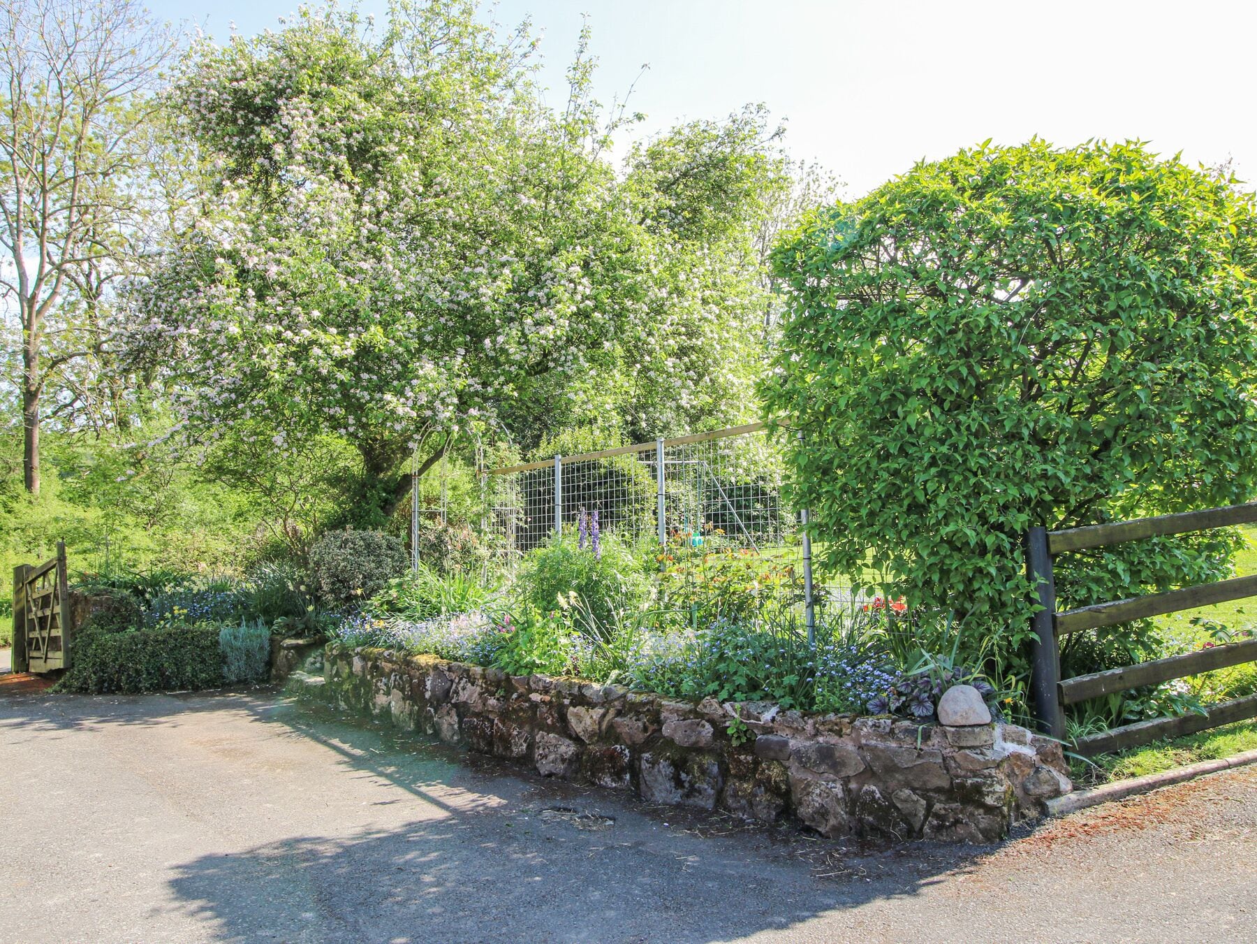 A garden with a stone wall, a wooden fence, and various plants and flowers.