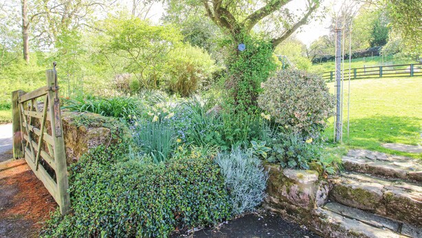 Un jardin avec une porte en bois, différentes plantes et un mur en pierre.
