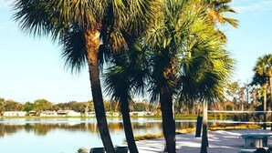 A beach area with palm trees, a lake, and lounge chairs. - Orange Lake Holiday Inn Resort 2 Bedroom Villa In Beautiful Orlando/Kissimmee (Kissimmee)