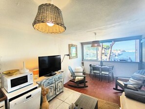 TV - Apartment for 4 with breathtaking view (Saint-Cyprien)