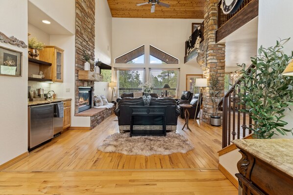 TV, fireplace, books