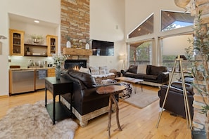 TV, fireplace, books