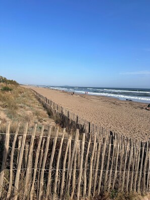 Camastros y toallas de playa 