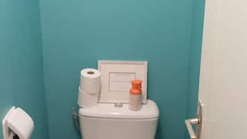 Shower, towels, soap, toilet paper
