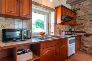 Fridge, microwave, oven, dishwasher - Soupic - A proximité de la mer (Plomodiern)
