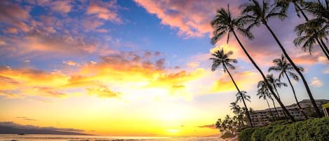 公寓式客房 (2 Bedrooms) | 住宿正面