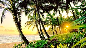 Appartement (4 Bedrooms) | Uitzicht vanuit de kamer