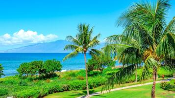 Condo (Multiple Bedrooms) | Front of property