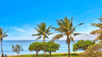 Condo (Multiple Bedrooms) | View from room