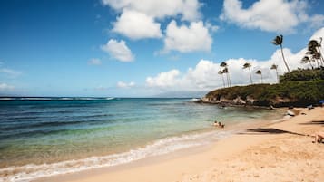 Condo (6 Bedrooms) | Beach