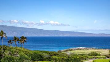 Condo (6 Bedrooms) | Front of property