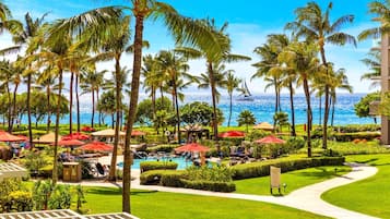 Vista desde la habitación