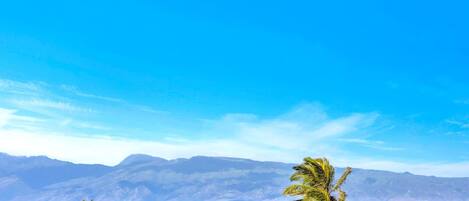 Apartment (5 Bedrooms) | Fassade der Unterkunft