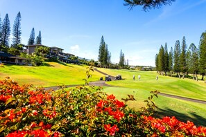Condo (6 Bedrooms) | Exterior - Kapalua Golf Villas Collection by KBM - 3 Units in same building (14p3/14p6/14v3) (Kapalua)