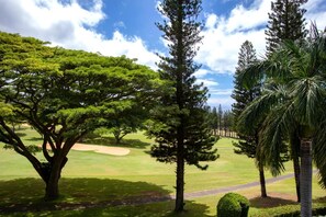 Condo (Multiple Bedrooms) | View from room