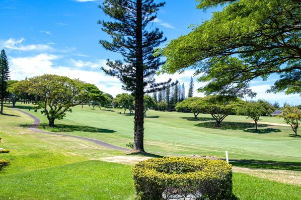 Appart'hôtel (Multiple Bedrooms) | Golf