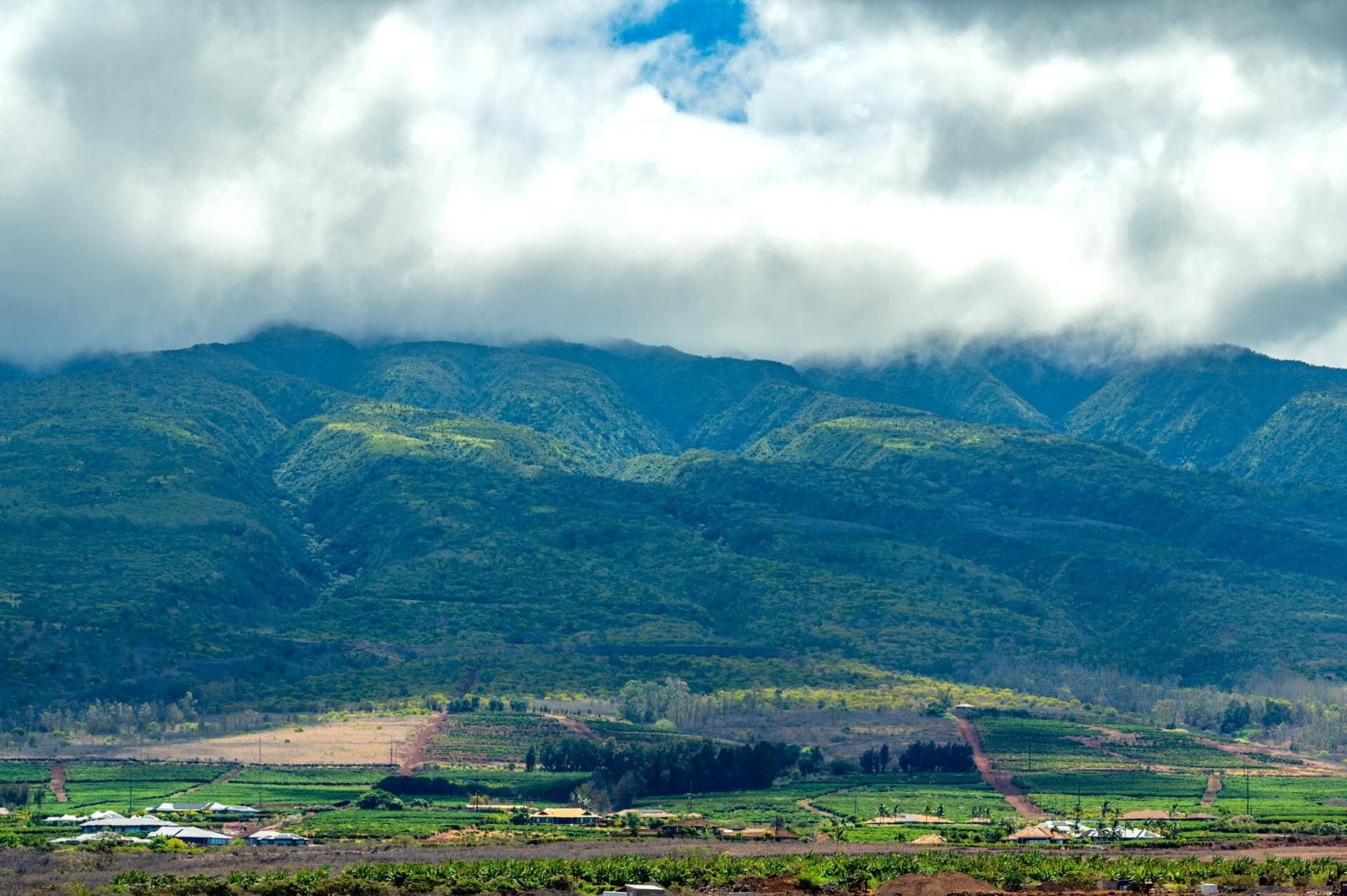 Condo (3 Bedrooms) | Front of property