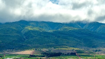 Condo (3 Bedrooms) | Front of property