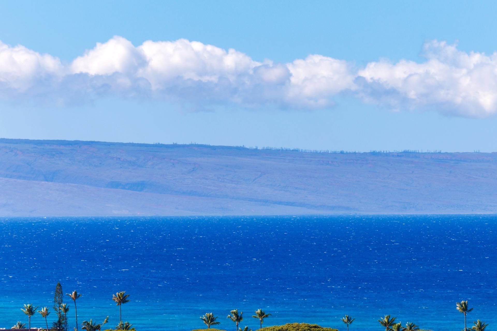 Condo (5 Bedrooms) | Front of property