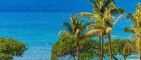 숙박 시설 정면