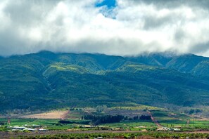 Appartement (4 Bedrooms) | Kameruitzicht