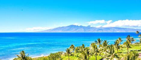 Condo (5 Bedrooms) | Front of property