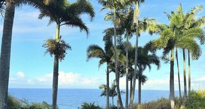 Tropical 1BR Hideaway w/Balcony near surf Beaches