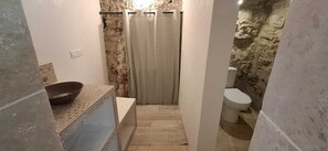 Shower, hair dryer