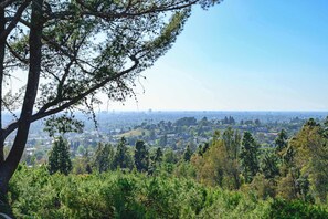 A panoramic view of a cityscape with a prominent tree in the foreground. - Spacious Retreat With Scenic Mountain Views (Santa Ana)