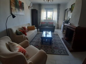 TV, fireplace, books