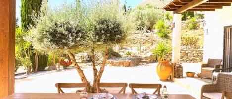 Restauration en plein air