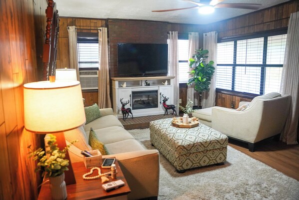 Smart TV, fireplace, books