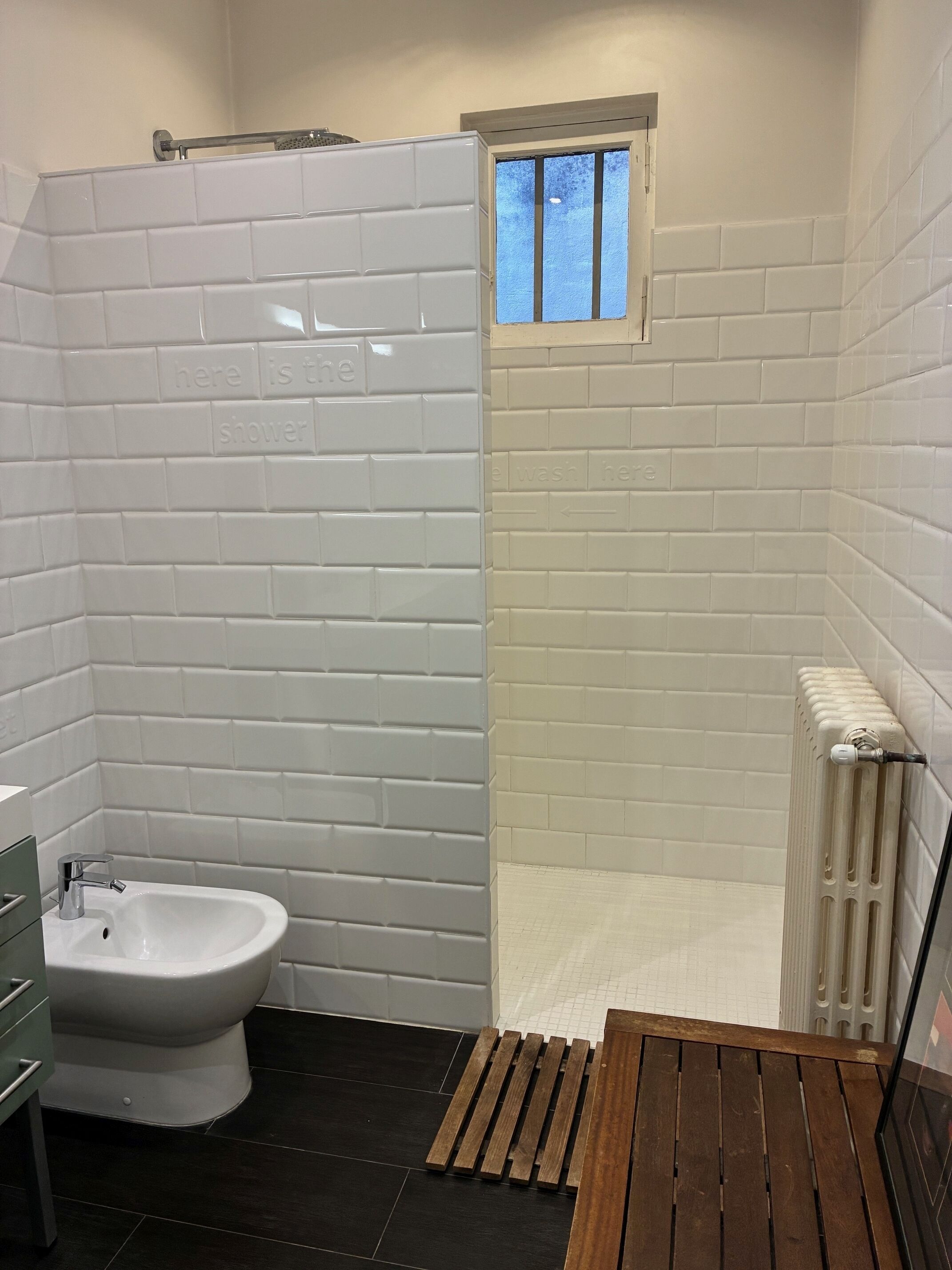 Shower, hair dryer, bidet, towels