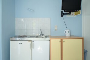 Fridge, stovetop, cookware/dishes/utensils