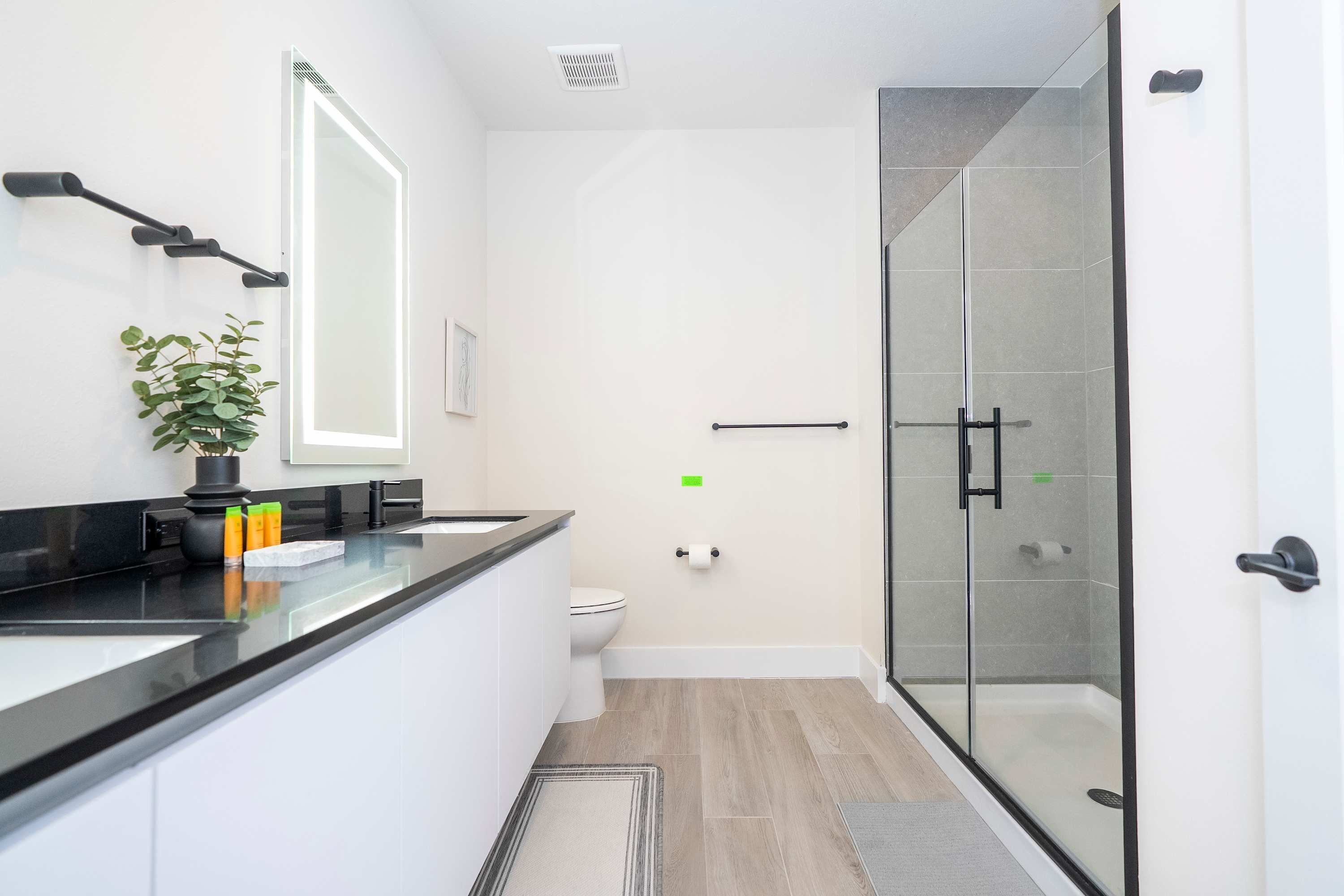 A modern bathroom with a glass shower enclosure, a black countertop, and a potted plant.