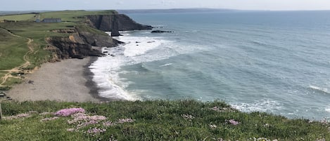 コテージ | ビーチ | ビーチの近く