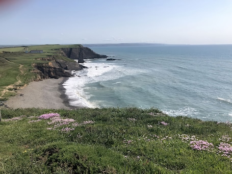 Cottage | Beach | Beach nearby. Tremorla