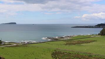 A coastal landscape with a grassy field, a rocky shoreline, and a distant island.