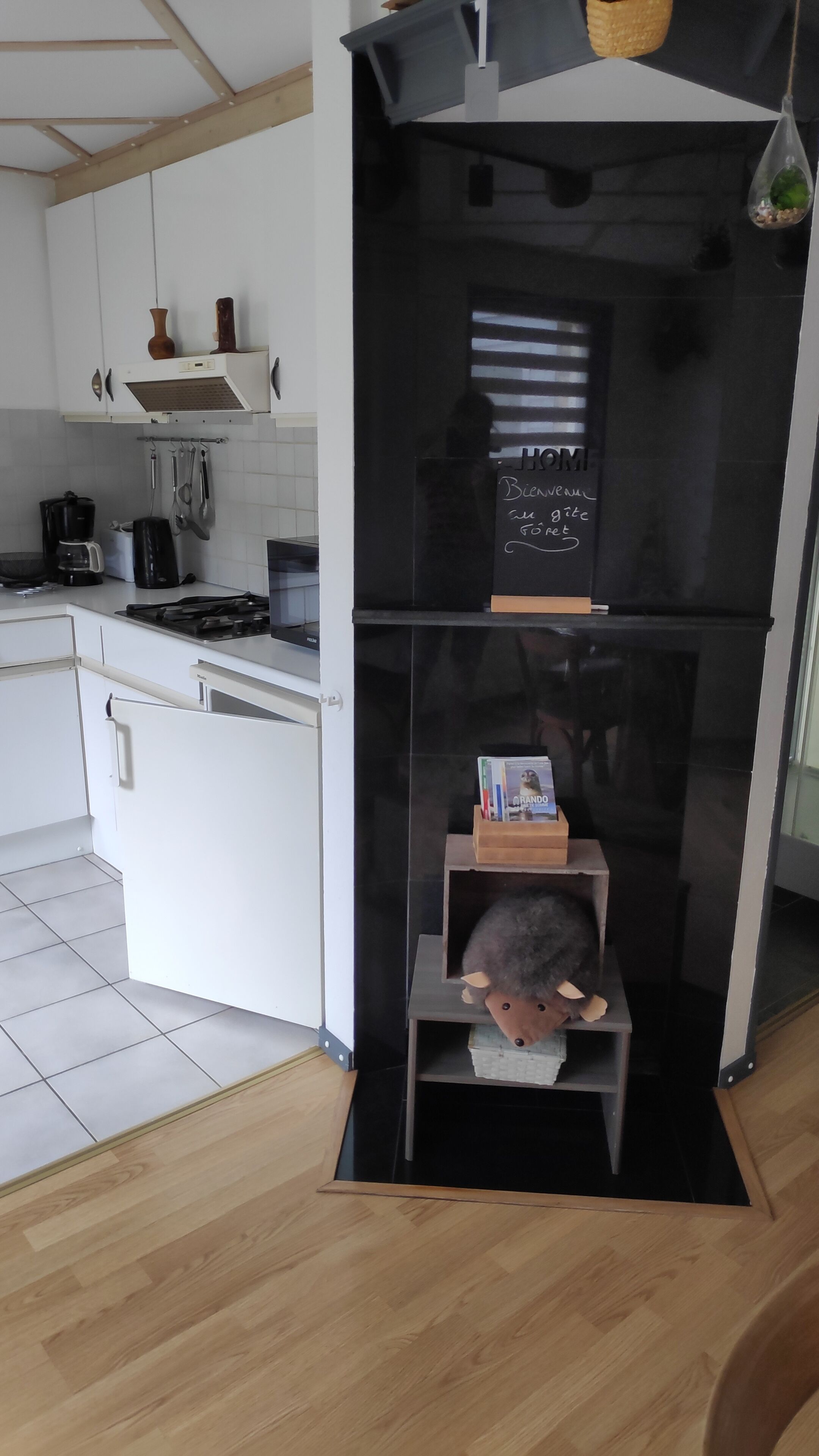 Microones, placa de cuina i rentaplats 