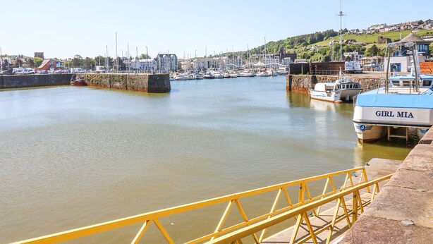 Un port amb embarcacions amarrades, una barana de seguretat groga i un turó amb edificis al fons.