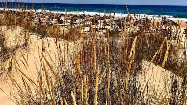 A beach with numerous umbrellas and beach chairs, suggesting a resort setting. - Balcony Pool Royal Cabanas Golf 18 (Tavira)