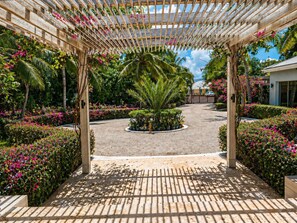 A covered garden area with a central palm tree, surrounded by various plants and flowers.