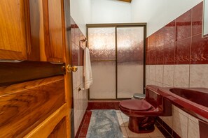 Shower, towels, soap, toilet paper