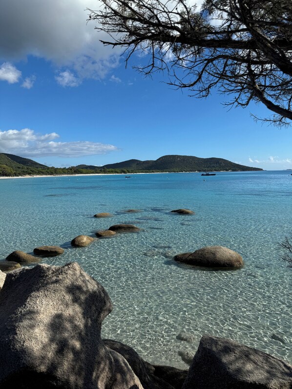 Strand