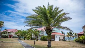 A resort with multiple buildings, palm trees, and a clear sky.