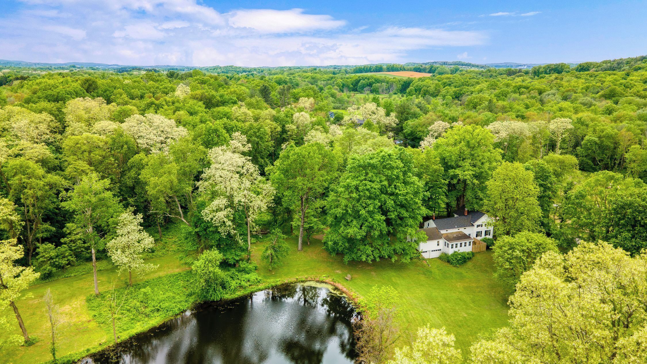 Une maison entourée d’une végétation luxuriante et bordée d’un étang.
