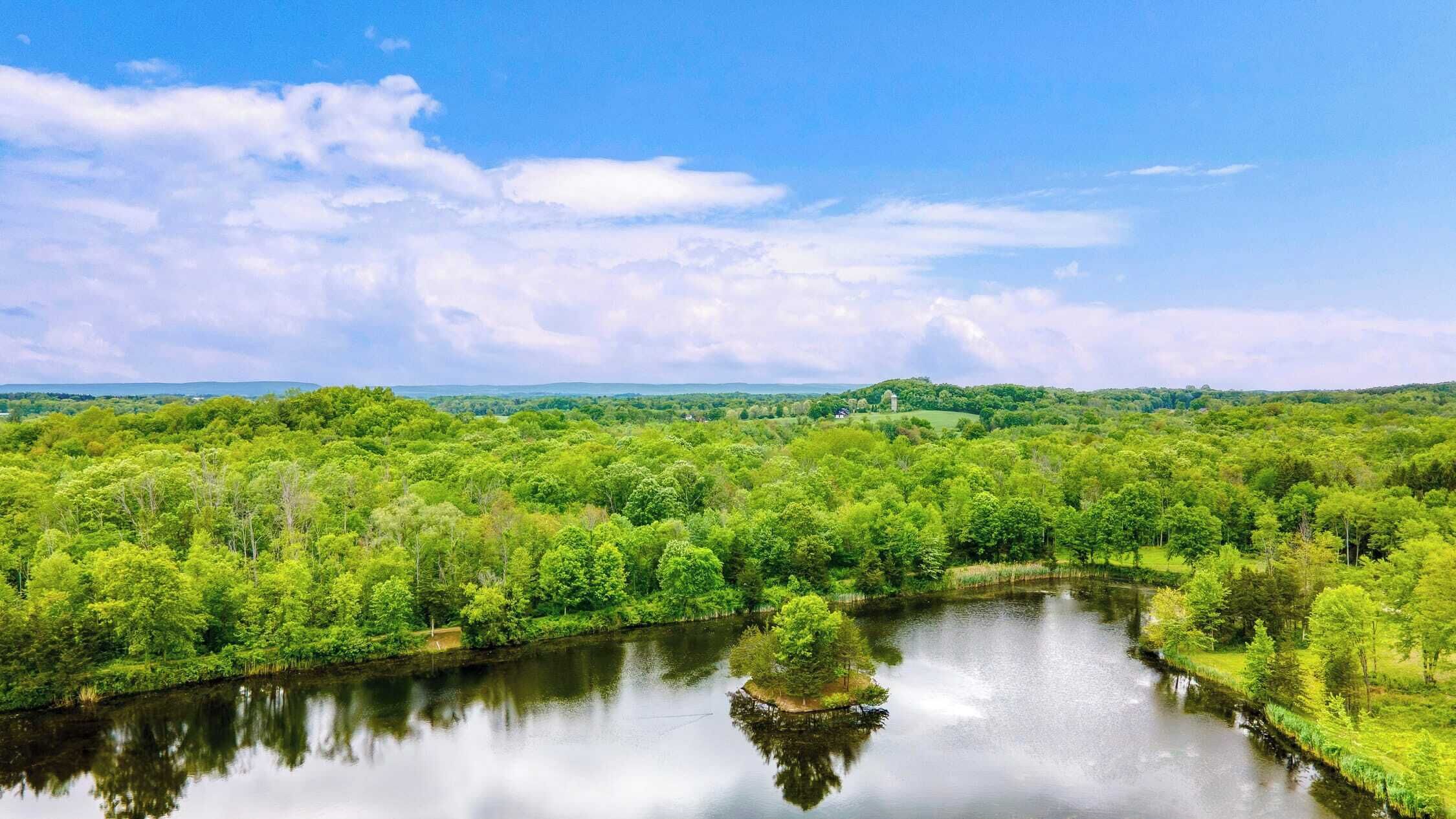 A river surrounded by dense green forest and a clear sky.