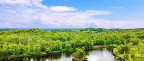 A river surrounded by dense green forest and a clear sky.